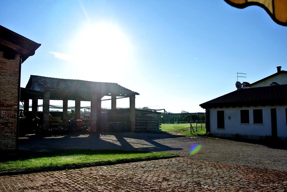 Agriturismo Sartori Terenzio Quinto Vicentino Екстер'єр фото